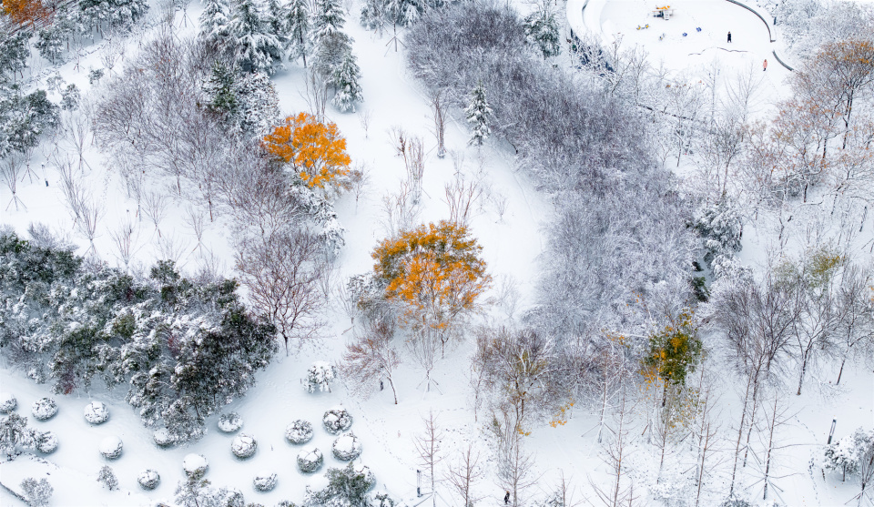 Z视觉 | 钢铁机甲、美哉宋陵、晴云阁月升……镜头里的郑州也太美了