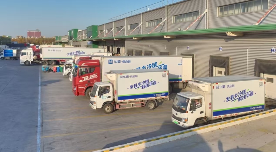 一颗荔枝跑出中原“鲜”速度