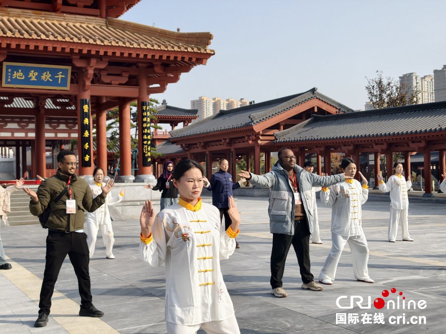 外国青年、网络达人走进南阳医圣文化园 对话千年中医药文明_fororder_5