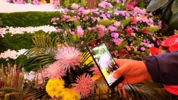 品宋宴、看演艺、赏国际菊 开封满城菊香宋韵等你来探索