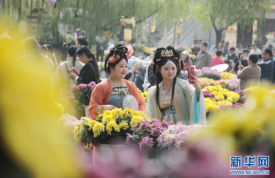 河南开封：满城菊香迎客来