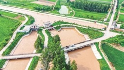 【奋进的河南 决胜“十四五”】黄河之水润豫东 中原粮仓愈丰盈