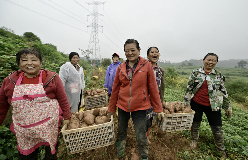 信阳市新县：小红薯铺就乡村振兴“甜蜜路”_fororder_群众喜笑颜开（焦汉平 摄）