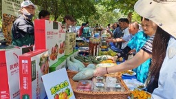 2026年惠济农品・红薯丰收喜乐会启幕