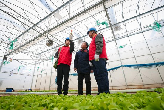 协同优化供用电环境 济源构建法企政企共建合作机制_fororder_图片1