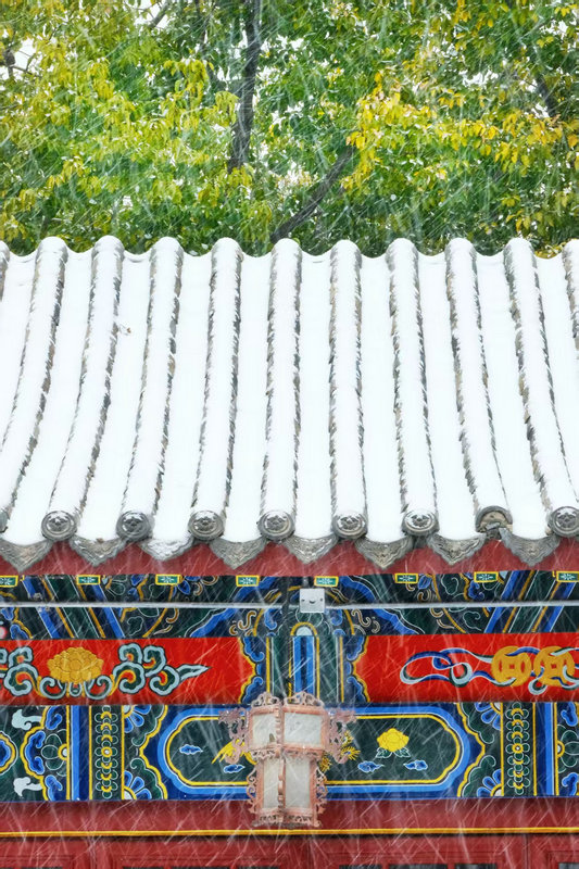 Z视觉 | 落雪覆飞檐 这份中式浪漫藏不住了_fororder_e0f249cfaa0541a48e8266e2e333645f