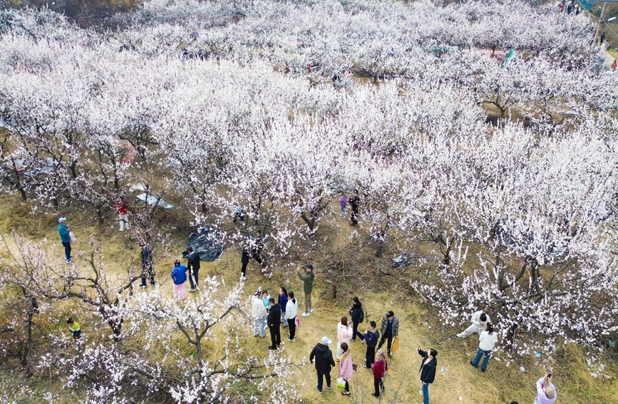 看河南卫生健康如何把“民生清单”变成“幸福账单” 惠民实事清单里的温度与力度_fororder_2.JPG