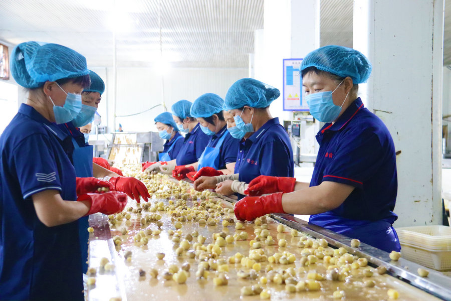 南阳西峡：民营企业冲刺上半年目标生产忙_fororder_西峡县味缘食品有限公司员工正在加工销往欧洲的香菇产品 摄影 王小军.JPG