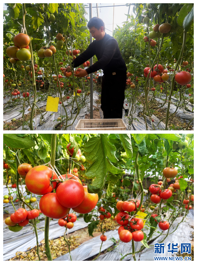 河南全力保障春节市场供应_fororder_20260118b4aa675bd877434f803f3e7f58fb1c8d_2026011846a144e5406f46d4931f975c2653dfed