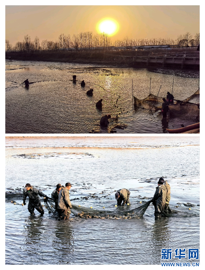 河南全力保障春节市场供应_fororder_20260118b4aa675bd877434f803f3e7f58fb1c8d_202601182df2e80b50c2447386f88ab365342ed0