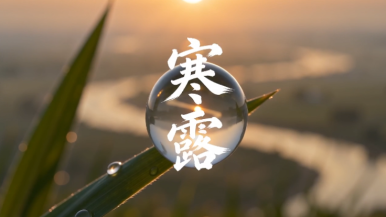 节气中国·AI同行｜寒露至 秋正浓