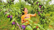 从荒山秃岭变候鸟天堂 豫鄂陕三省共护丹江水永续北送
