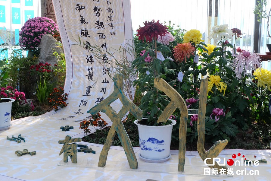 第十五届中国菊花展览会在开封开幕 焕活古都文旅新活力_fororder_DSCF3479.JPG