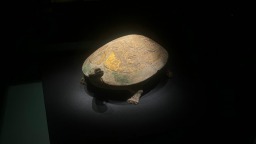 循砚寻文脉 中原古砚精品展亮相郑州大象陶瓷博物馆_fororder_彩绘贴金澄泥龟砚