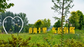 行进中国｜河南光山：古村焕新颜