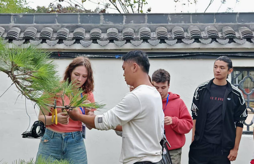许昌鄢陵学“手”艺 外国青年、网络达人玩转花木造型_fororder_图片1