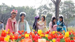 花绽中原：河南的春天 藏在每一朵花里