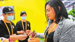 【第八届中国国际进口博览会】在“四叶草”里河南深度链接世界