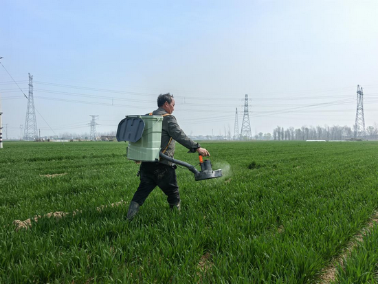 开封杞县葛岗镇：科技赋能小麦返青 新农具改写春耕模样_fororder_图片3