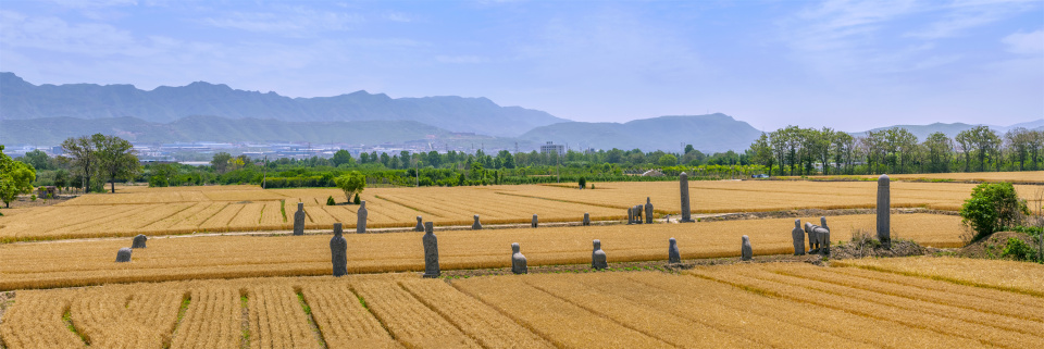Z视觉 | 钢铁机甲、美哉宋陵、晴云阁月升……镜头里的郑州也太美了