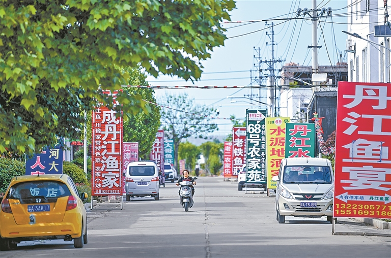 通水11年 从安居到乐业——河南南水北调移民村的振兴足迹