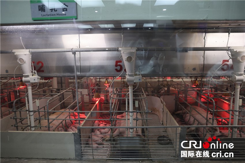 两岸媒体南阳行：探访特色产业 共话乡村振兴新篇章_fororder_微信图片_20251021082400