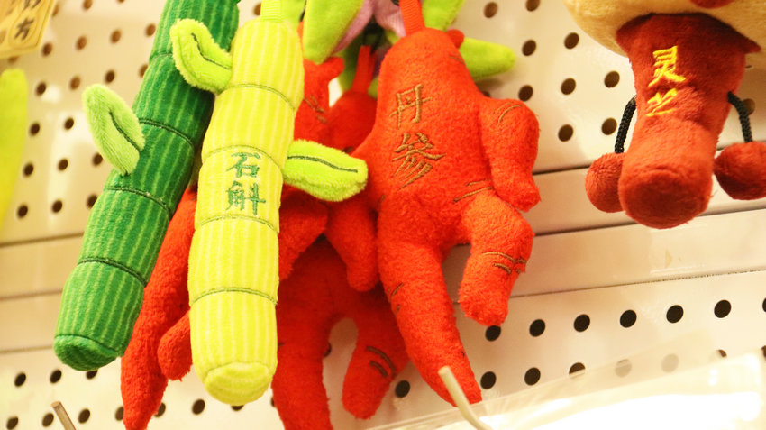 “中意中国 一草一世界”中医药文化传承网络主题宣传活动启动_fororder_南阳开发的中草药文创产品 摄影 王小军.JPG