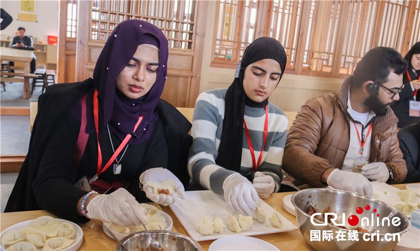 仲景奇遇记正式启幕 外国青年、网络达人开启探访南阳中医药之旅_fororder_微信图片_20251113131713_37_77