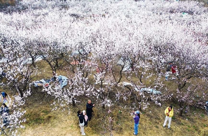 看河南卫生健康如何把“民生清单”变成“幸福账单” 惠民实事清单里的温度与力度_fororder_4.JPG