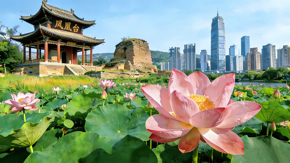 Z视觉 | 钢铁机甲、美哉宋陵、晴云阁月升……镜头里的郑州也太美了