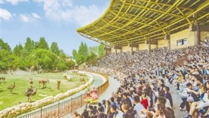 水光山色与人亲——“五一”假期郑州文旅市场魅力无限