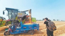 开封市440.37万亩小麦收割完毕