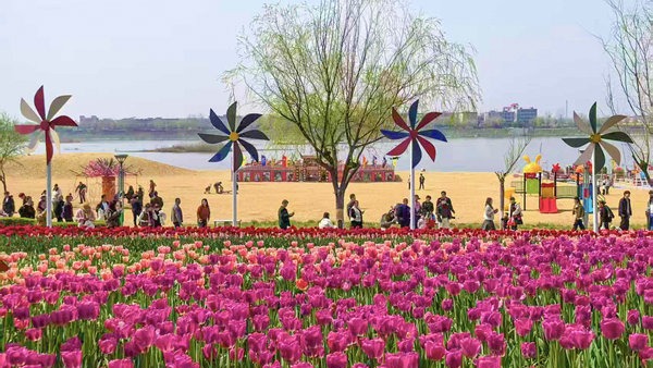 春季赏花 畅游南阳 南阳新野县赏花旅游季启动