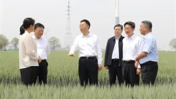 河南省委书记刘宁到焦作市温县、孟州市调研