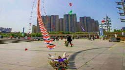 南阳市西峡县：春满龙乡 筝筝日上