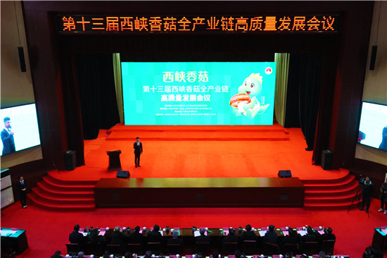 南阳市西峡县以“链”聚势 打造香菇产业新高地