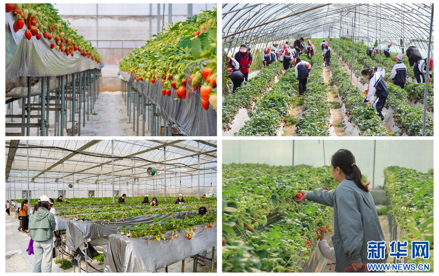 河南全力保障春节市场供应_fororder_20260118b4aa675bd877434f803f3e7f58fb1c8d_20260118069b726ff885447db4a6a21d404fc3ff