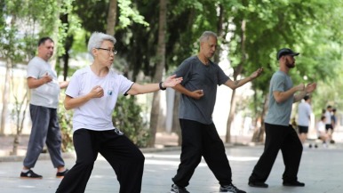 俄罗斯“洋弟子”陈一梅的15年太极情缘