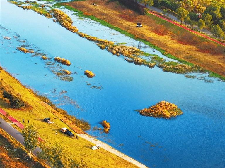 运河秋韵丨镜头里的河南
