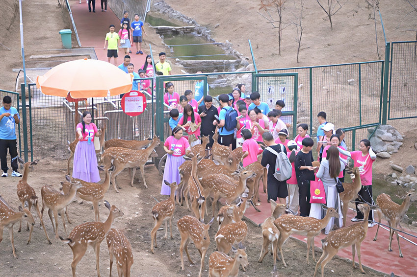 豫西大峡谷第十八届全国双胞胎漂流大赛在三门峡市卢氏县举行_fororder_众多双胞胎与梅花鹿亲密互动 摄影 冯革才