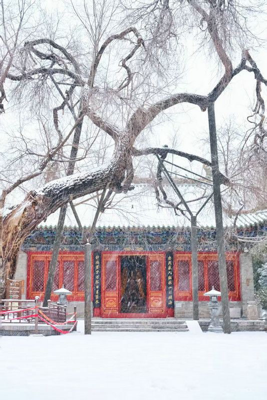 Z视觉 | 落雪覆飞檐 这份中式浪漫藏不住了_fororder_ed136bb9e949411bbd5751578e9f1a75