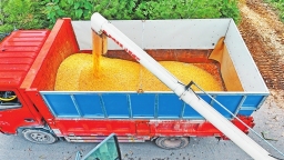 为中原粮仓装上法治安全阀