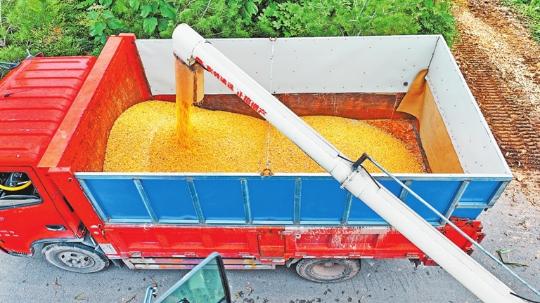 为中原粮仓装上法治安全阀