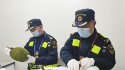 马来西亚鲜果迎来上市旺季  “抢鲜”端上百姓餐桌