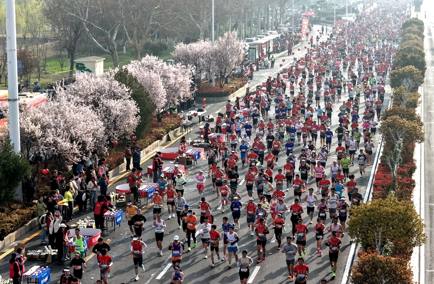 赴安马 读殷商！2.6万名跑者解锁“有文化的马拉松”_fororder_LOCAL1774176599981LO28FIY3NM
