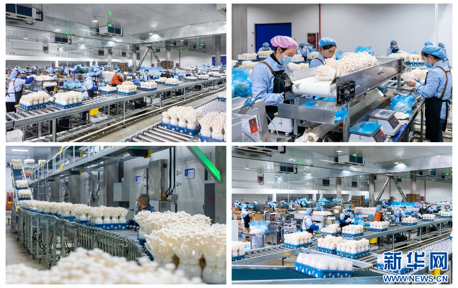 河南全力保障春节市场供应_fororder_20260118b4aa675bd877434f803f3e7f58fb1c8d_2026011801eab44316c9455eab411b7321508084