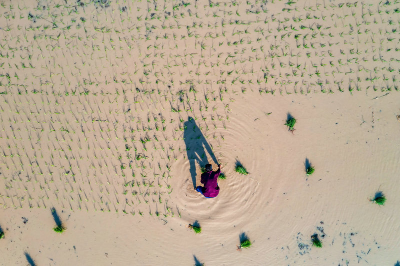 信阳市固始县：梯田层层 禾秧点点_fororder_DJI_0410
