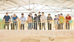 “五一”假期 郑州超百场文博活动带你“穿越古今”