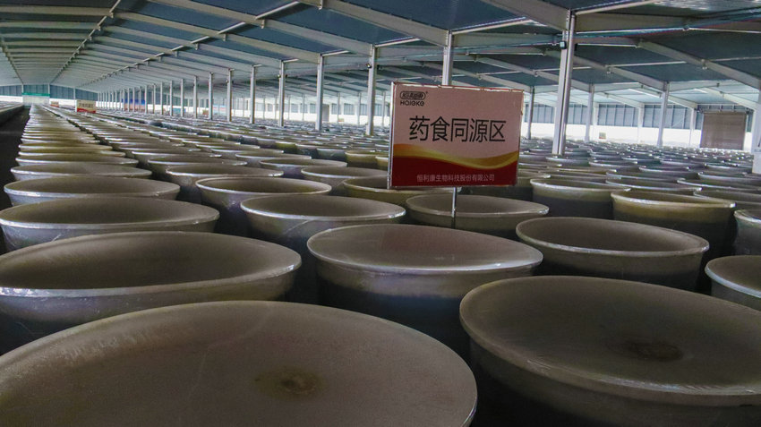 河南南阳：千年药都焕新彩 中医药传承创新谱华章_fororder_恒利康生物科技股份有限公司生物发酵车间.JPG