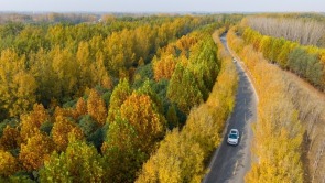 河南开封：古城秋韵浓